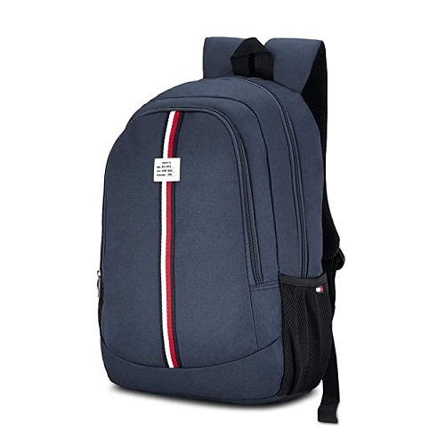 Tommy Hilfiger 34.28 Ltrs Red Laptop Backpack (TH/BIKCL04STP)