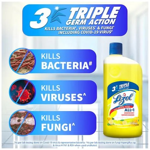 Combo Pack Lizol Disinfectant Surface & Floor Cleaner Liquid - Combo, Citrus & Floral Each 975 ml, Combo (Pack of 2)